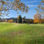 Photo alternative drives